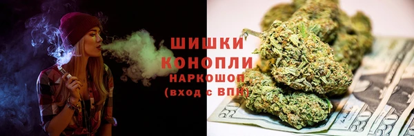 шишки Абаза