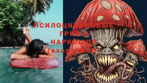 шишки Абаза